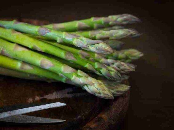 Pasta Con Asparagi E Gamberetti Il Primo Ideale Per Stupire In Tavola