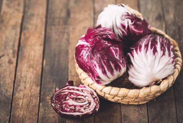 Polpettone Ripieno Con Noci Speck E Radicchio Il Piatto Completo E