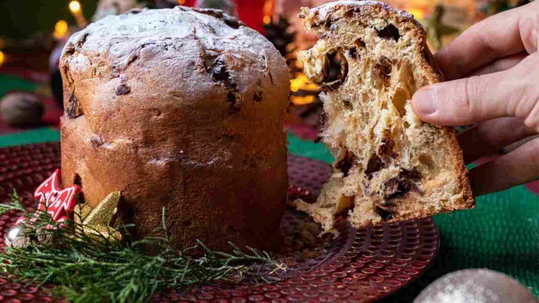 Mini Panettoni Ricchi Di Gocce Di Cioccolato Senza Lievitazione Zero