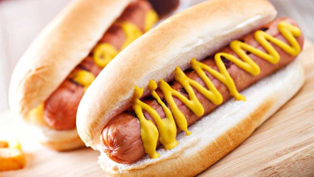 hot-dog-lo-street-food-americano-pi-famoso-del-mondo