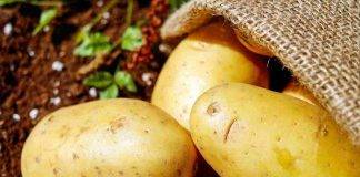 Come conservare le patate