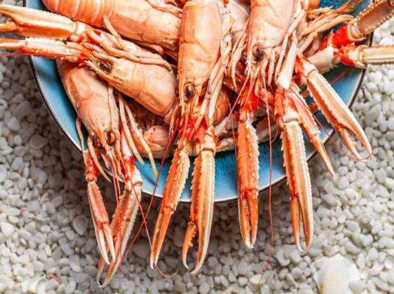 Scampi Al Limone In Padella | Un Secondo Facile E Ricercato