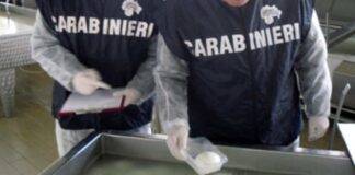 falsa mozzarella Spagna sequestro