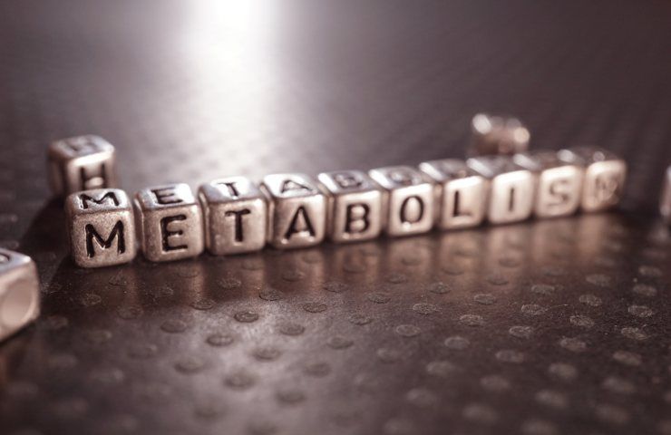 The inscription Metabolism