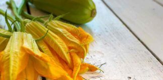 Fiori di zucca non solo ripieni! Tante idee sfiziose e veloci che neanche immagini!