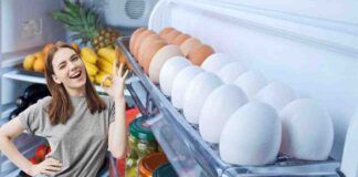 Freezer e frigo salasso bollette - RicettaSprint