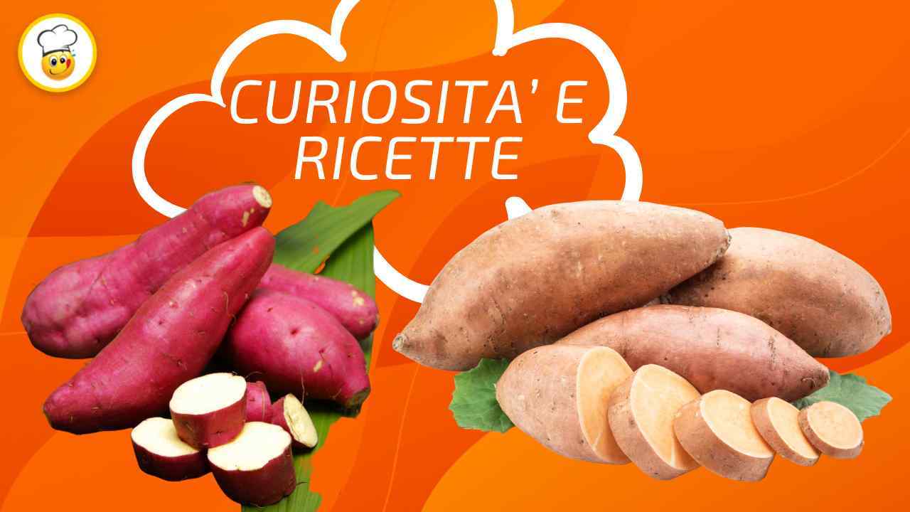 Patate dolci: curiosità e ricette da non perdere, così puoi diversificare  in cucina 