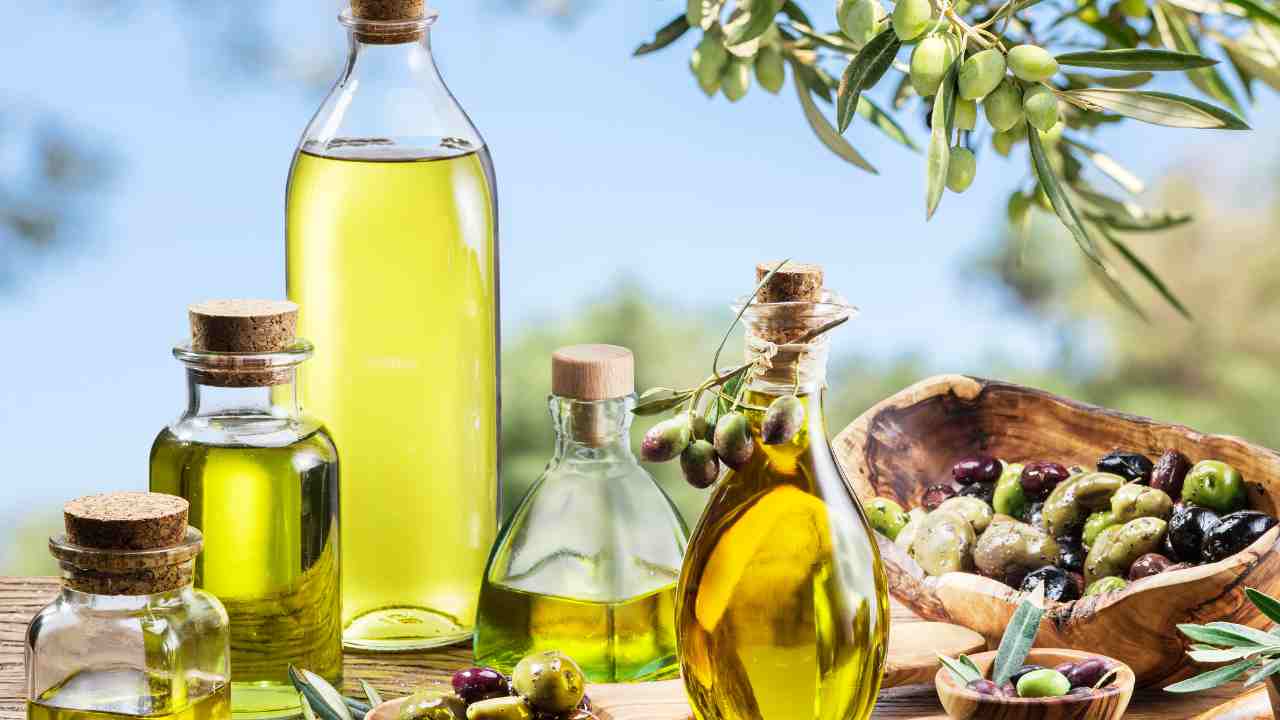 Olive oil reduces the danger of most cancers, analysis confirms: “It must be taken like this”