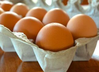 Uova fresche qual è il posto migliore per conservarle tra frigo e temperatura ambiente