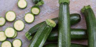 le migliori ricette di zucchine