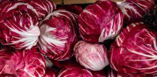 Pasta corta radicchio rosso