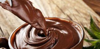 crema spalmabile al cioccolato: la faccio nel frullatore e non sporco altro