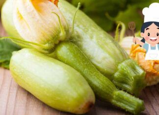 10 Ricette da fare con le zucchine