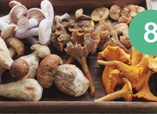 8 Ricette con i funghi