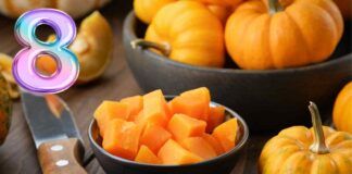 8 Ricette da preparare con la zucca non solo piatti salati, ma anche dolci, c'è davvero l'imbarazzo della scelta