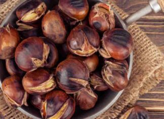 Castagne benefici a cosa fanno bene perché mangiarle