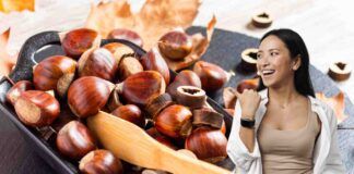 Castagne come riconoscerle trucchi metodi