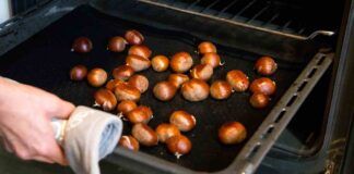 Come cuocere le castagne in forno metodo