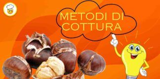 Come cucinare le castagne i metodi infallibili da non perdere Ricettasprint