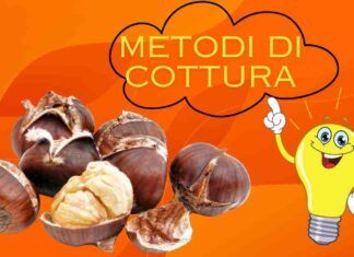 Come cucinare le castagne i metodi infallibili da non perdere Ricettasprint