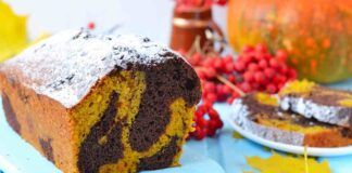 Plumcake variegato alla zucca e cacao senza burro solo 200 Kcal Ricettasprint