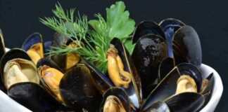 Cozze fresche e perfette, ecco come riconoscerle: la guida prima di Natale - RicettaSprint