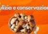 Funghi porcini pulizia e conservazione Ricettasprint