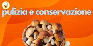 Funghi porcini pulizia e conservazione Ricettasprint