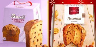 Il Panettone Bauli ed il Panettone Lidl Favorina