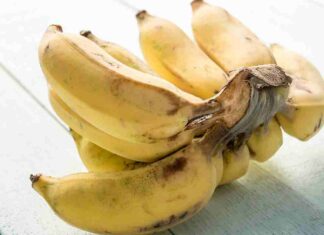 Banane nere e troppo mature subito dopo averle portate a casa? È giunto il momento di cambiare tutto - RicettaSprint