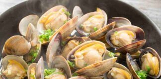 Sautè di vongole la ricetta napoletana Ricettasprint