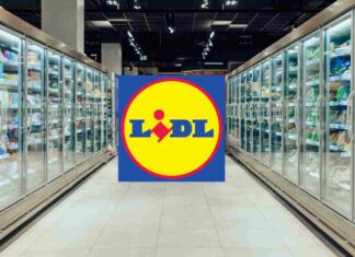 Logo LIDL